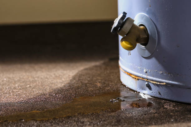 Best Residential water damage restoration  in Wartburg, TN