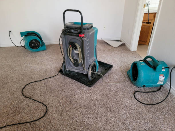 Wartburg, TN Water damage restoration Company