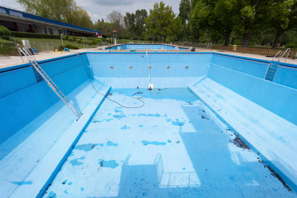 Best Water damage restoration mold remediation  in Wartburg, TN