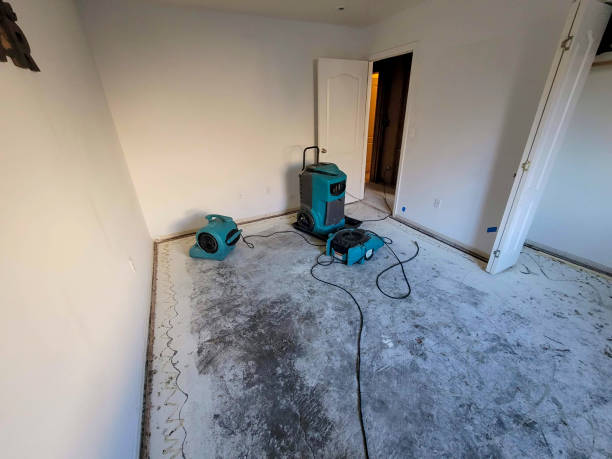 Best Emergency water damage restoration  in Wartburg, TN
