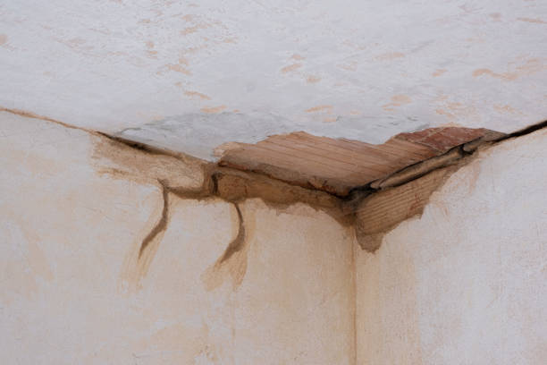 Best Sewage cleanup and water damage restoration  in Wartburg, TN