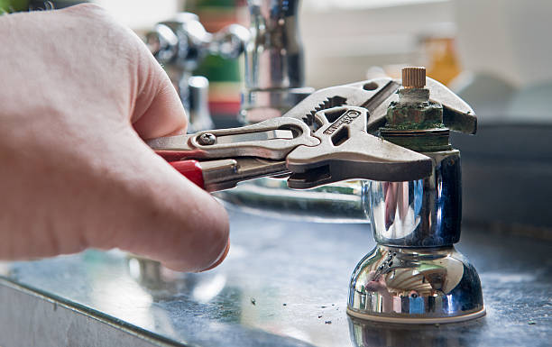 Best Local water damage restoration  in Wartburg, TN