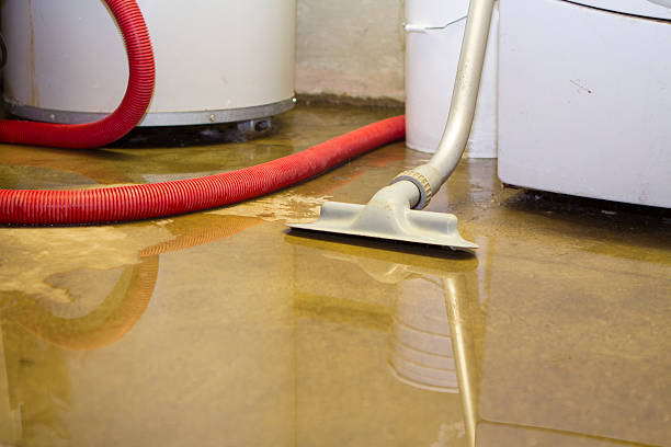 Best Water damage contractors near me  in Wartburg, TN