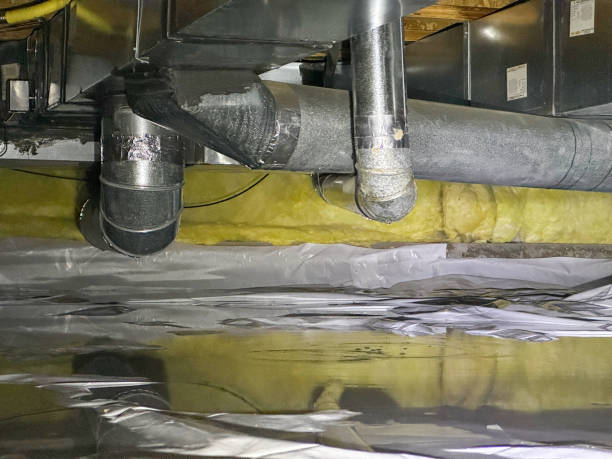 Best Local water damage restoration  in Wartburg, TN