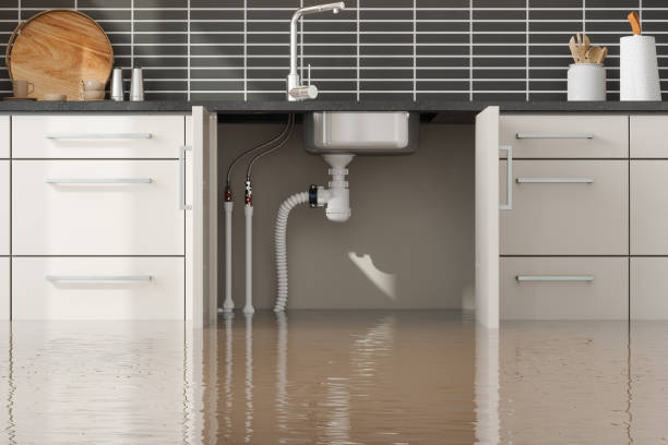 Best Ceiling water damage repair  in Wartburg, TN