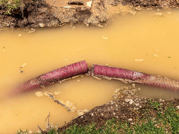 Local water damage restoration in Wartburg, TN