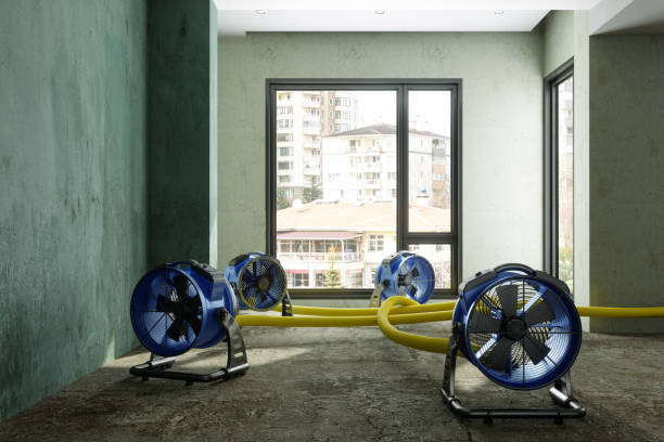 Best Emergency water damage restoration  in Wartburg, TN