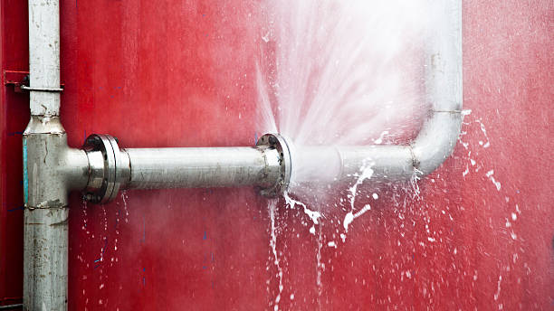 Best Carpet water damage restoration  in Wartburg, TN