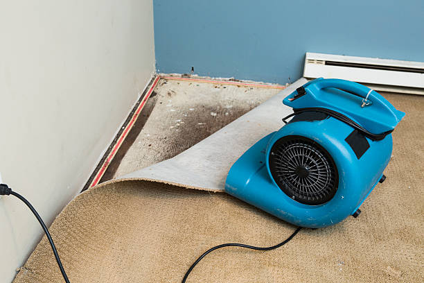  Wartburg, TN Water damage restoration Pros