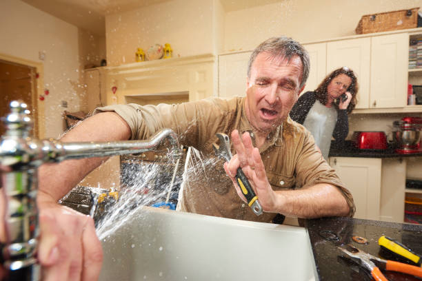 Best Ceiling water damage repair  in Wartburg, TN